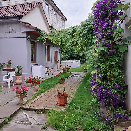 Marco'S Studio Fagaras Ngoại thất bức ảnh
